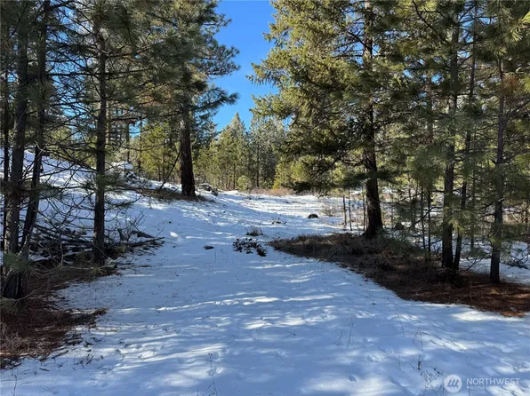 0 TBD Cartwright Drive Lot 1, Tonasket, WA 98855
