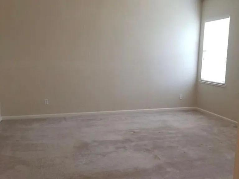 1145 Fergusen Way — Photo 11