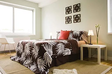 Rented by Bold New York