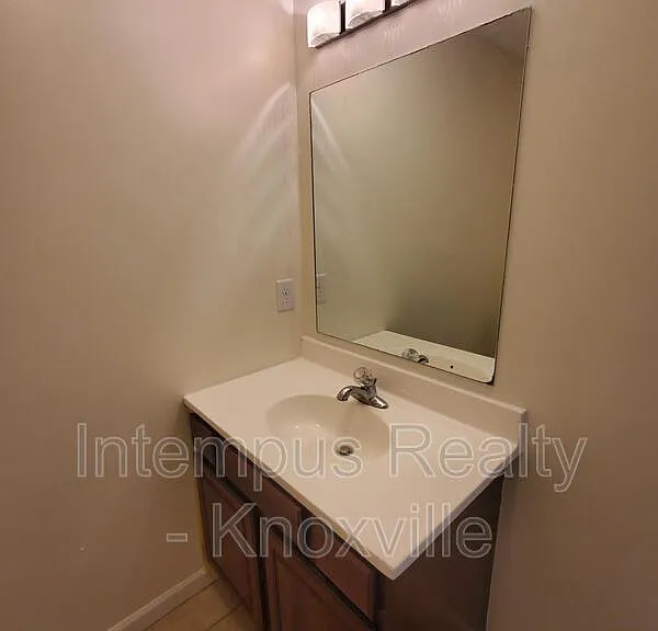 306 Joshua Landing Ct — Photo 17