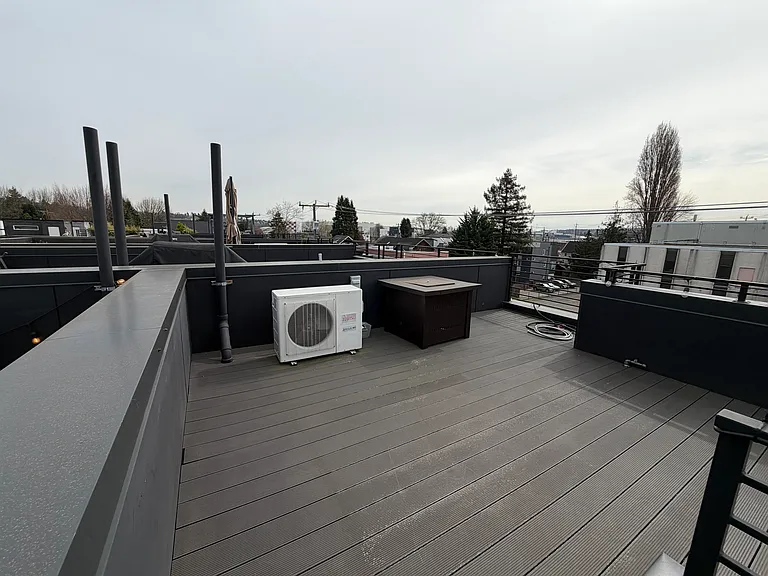 rooftop deck (propane fireplace included)