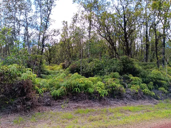 Waimaka O Pele Rd Lot 8479, Mountain View, HI 96771