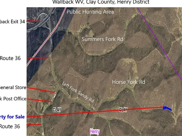 18XX Horse Fork Rd, Wallback, WV 25285