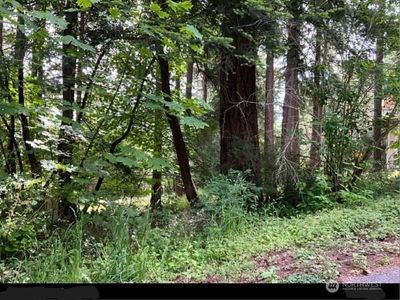 1148 Berry Way, Lummi Island, WA, 98262