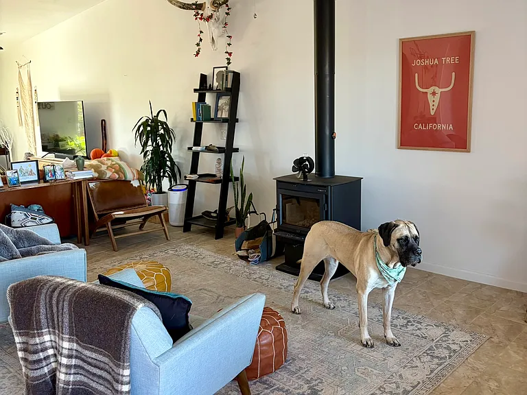 58767 Delano Trl — Photo 18
