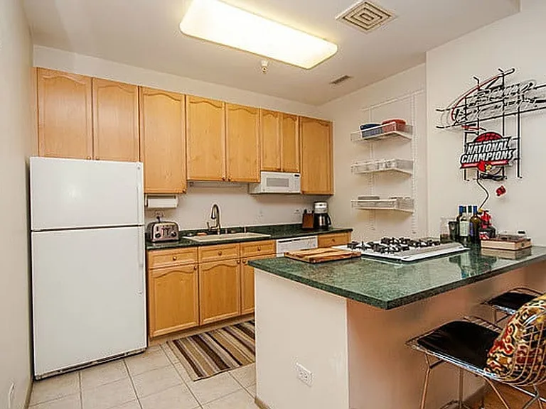 330 S Michigan Ave #1510 — Photo 6