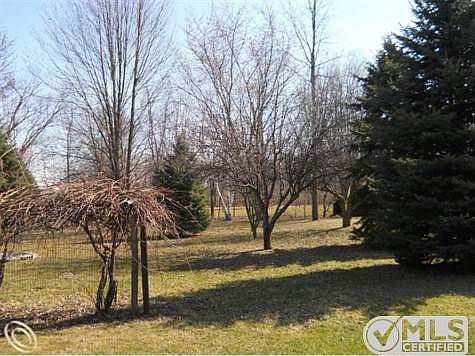 5025 St. Clair Hwy - yard.JPG