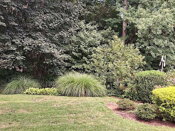 2nd image of 64 Alpine Rd