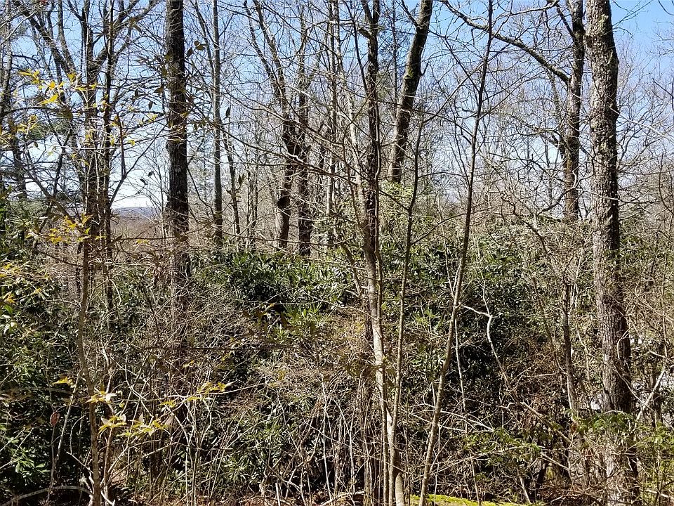 2nd image of Lot 95 Shelby S