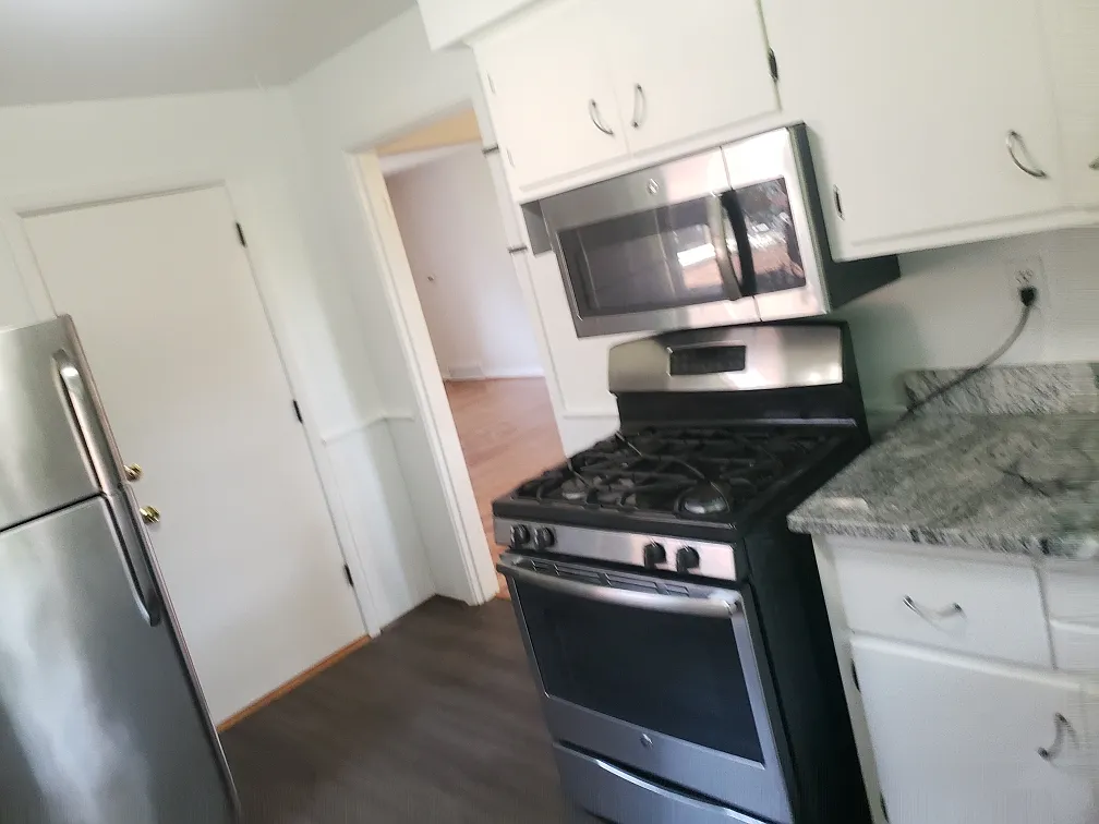 2 bed, 1000 sqft, $1,700 — Photo 4