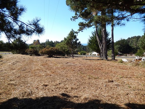 5th image of 11980 Leafwood Dr
