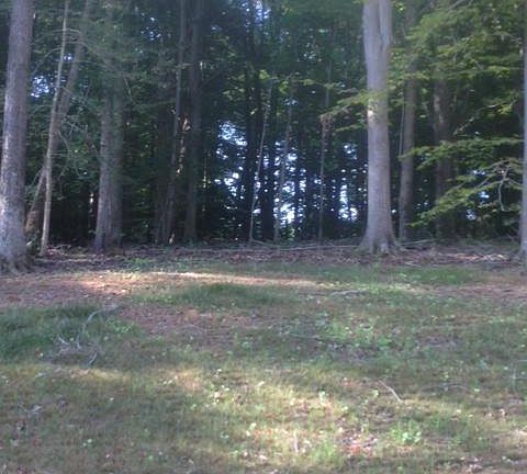 5th image of 14630 Gallant Ln