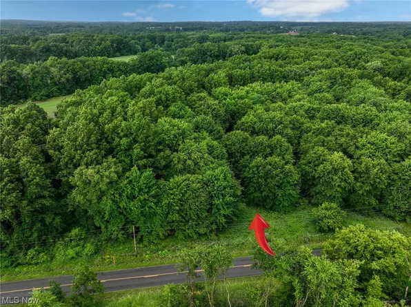 Franchester Rd, Lodi, OH 44254