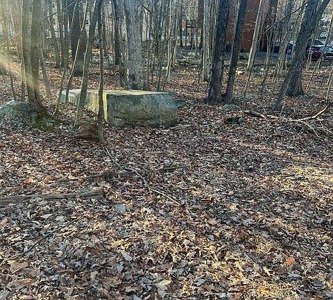 2nd image of 259 Winona Lks