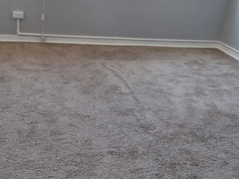 203 N Cary Ave — Photo 5