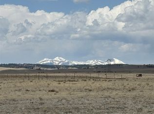 7125 Rio Blanco Rd, Hartsel, CO 80449
