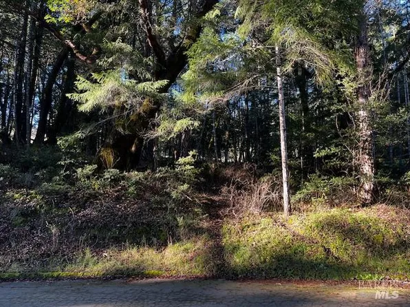 24419 Cypress Drive, Willits, CA 95490