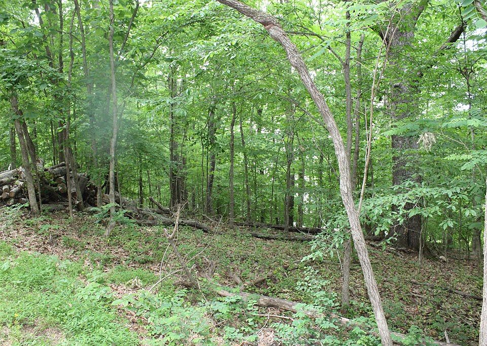 0 Crestview Dr, Bumpus Mills, TN 37028 Zillow