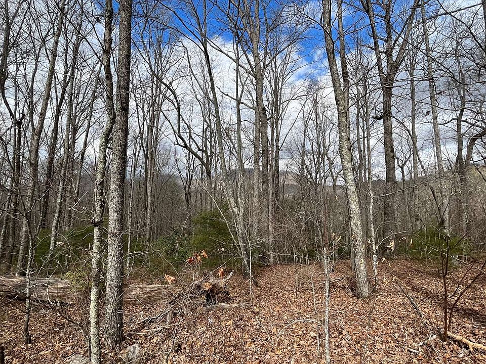 2nd image of Bugscuffle Rd