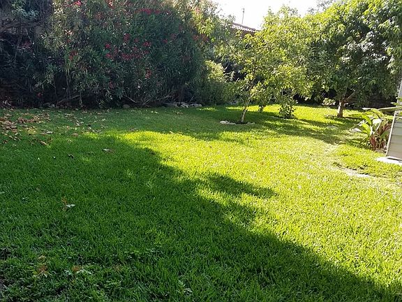 4th image of 499 Raymond Dr