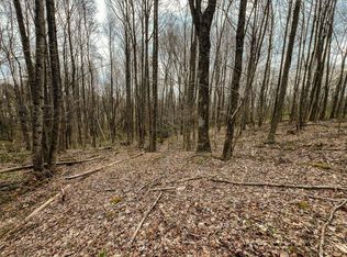 TRACT 1 Keno Rd, Laurel Fork, VA 24352