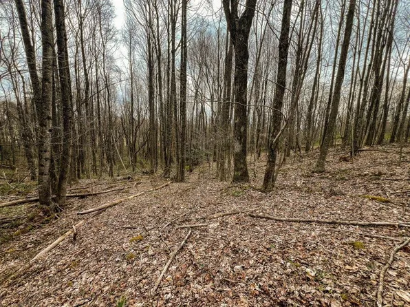 TRACT 1 Keno Rd, Laurel Fork, VA 24352