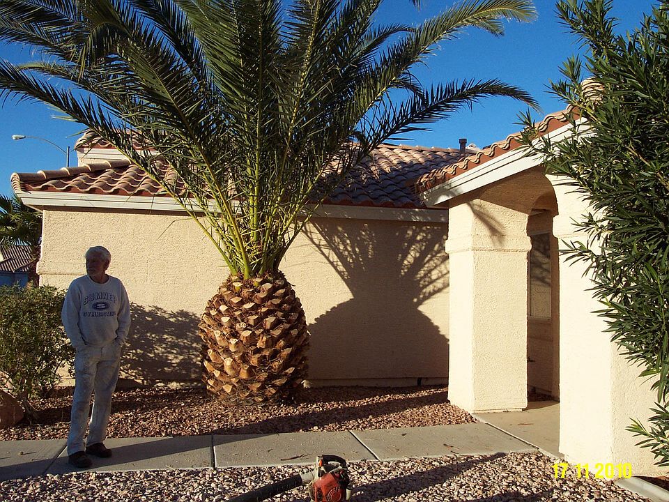 front yard