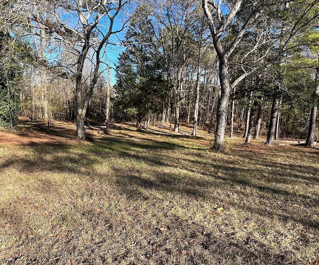 1251 S L St, Pine Mountain Valley, GA 31823 Zillow