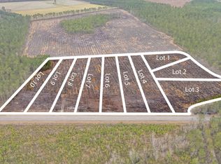 TBD Joyner Swamp Rd. Lot 1, Galivants Ferry, SC 29544