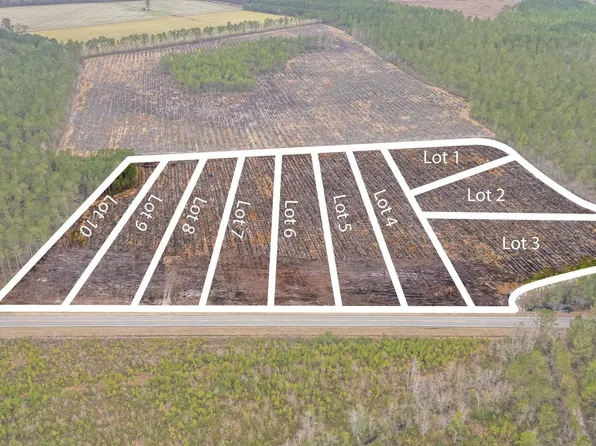 5530 Joyner Swamp Rd. Lot 3, Galivants Ferry, SC 29544