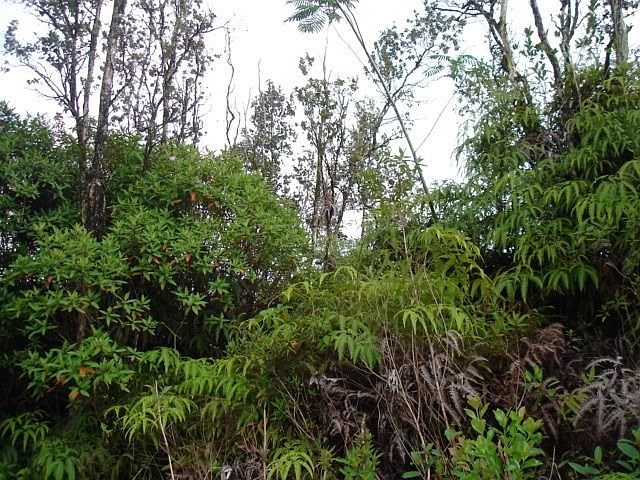 2nd image of 28th Ave Lot 344