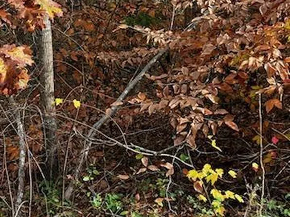 168 Hillendale Dr #13-16, Winston Salem, NC 27107