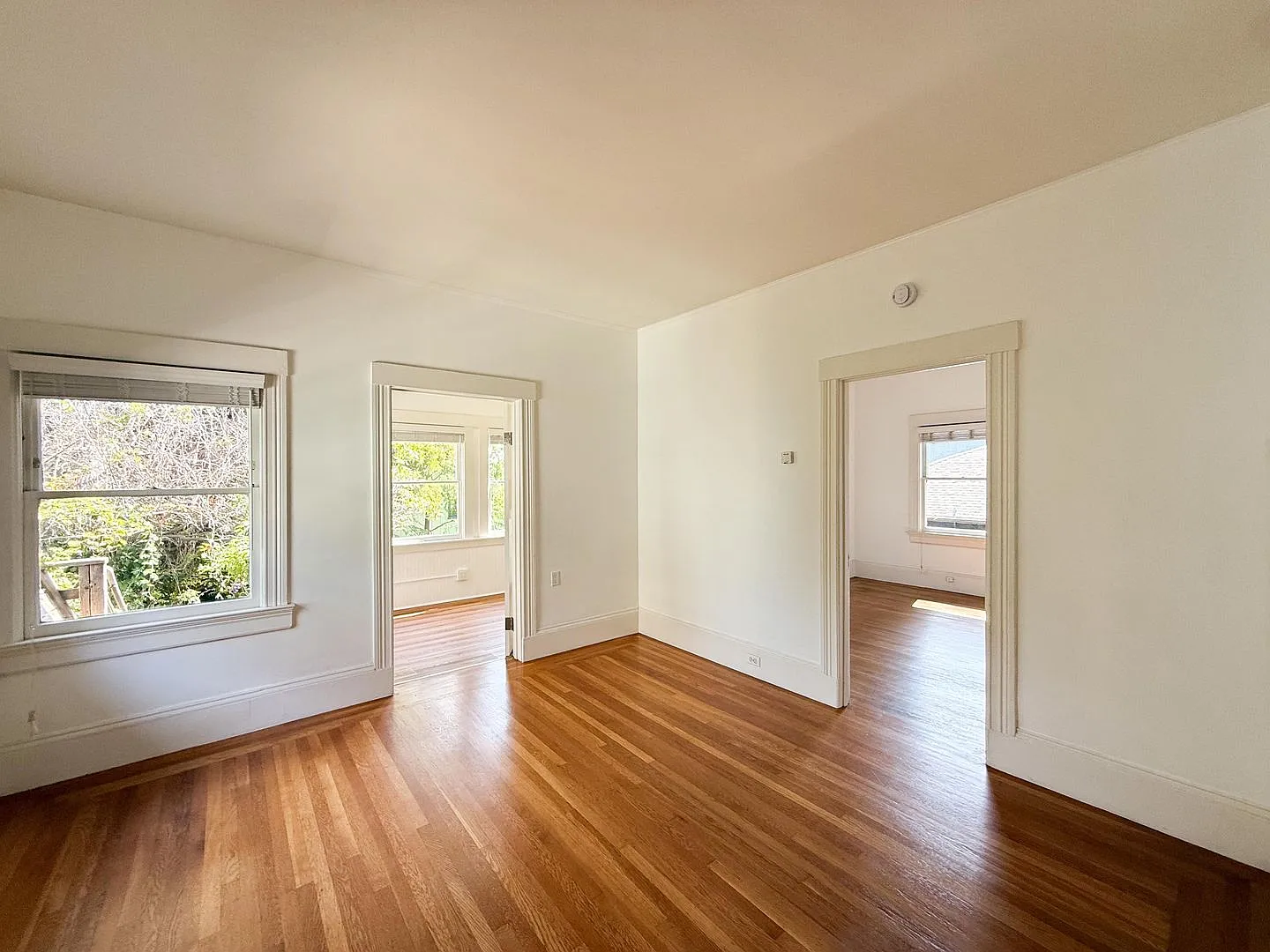 2208 Ward St. — Photo 4