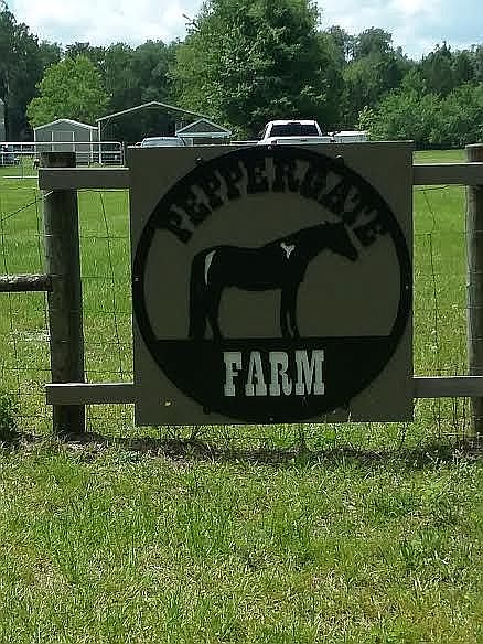 Entrance Sign