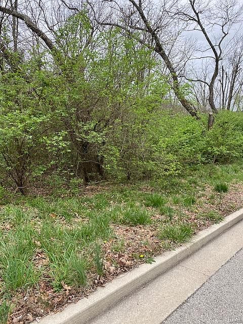 1st image of 582 Basswood Dr