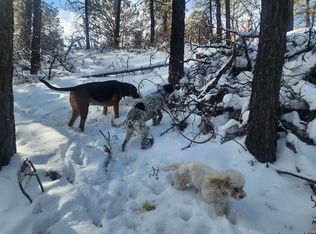 2240 Crooked Rd, Pagosa Springs, CO 81147