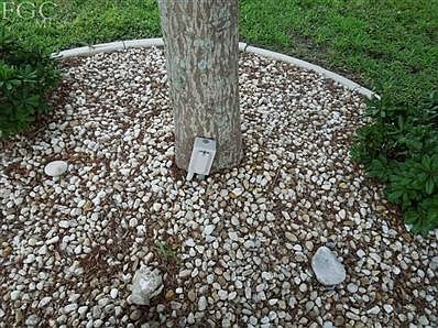5th image of 215 Stingray Ln
