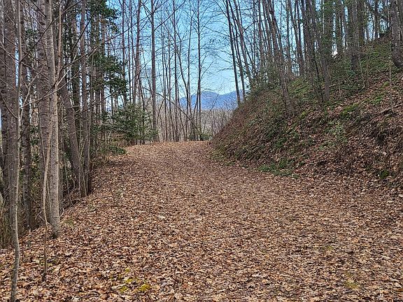 4th image of N/a Thomas Valley