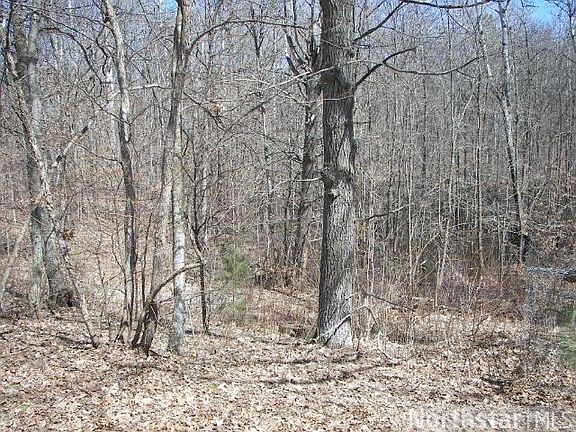 2nd image of 28767 County Highway 35