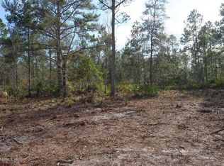 10405 Delgado Ave, Hastings, FL 32145