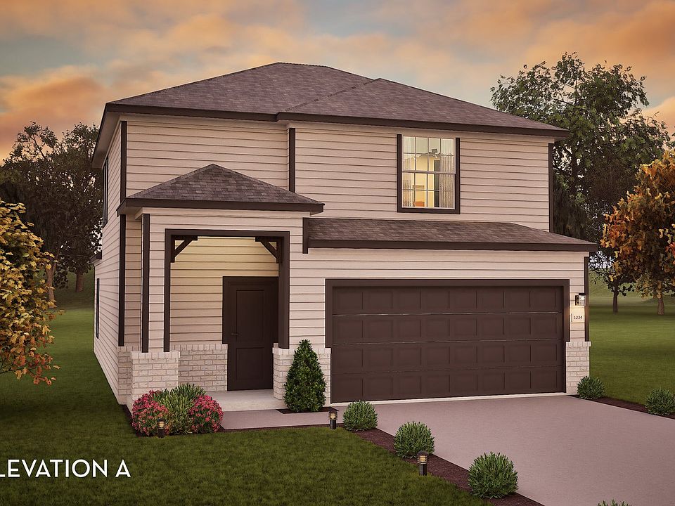 Elm_Elevation A