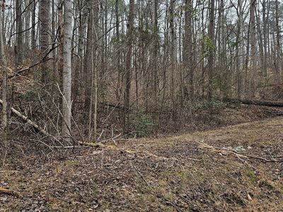 72 Dogwood Trl, Martin, GA, 30557