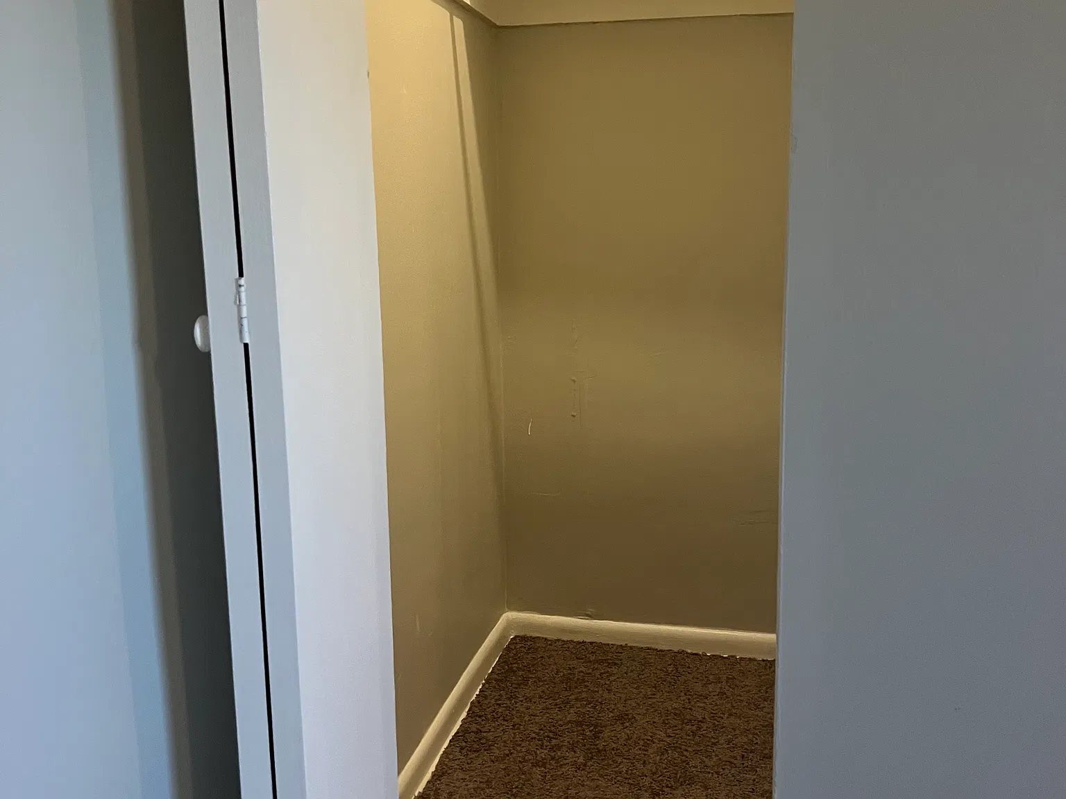 1 bed, 650 sqft, $1,245 — Photo 4