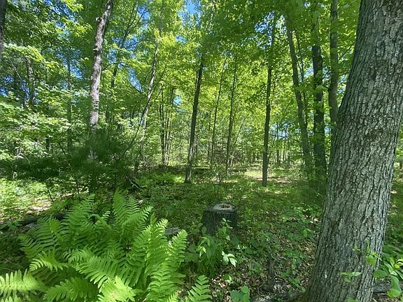 5th image of 2340 CAREY STREET