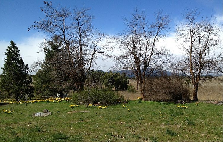 2nd image of 61811 Heberlein Rd