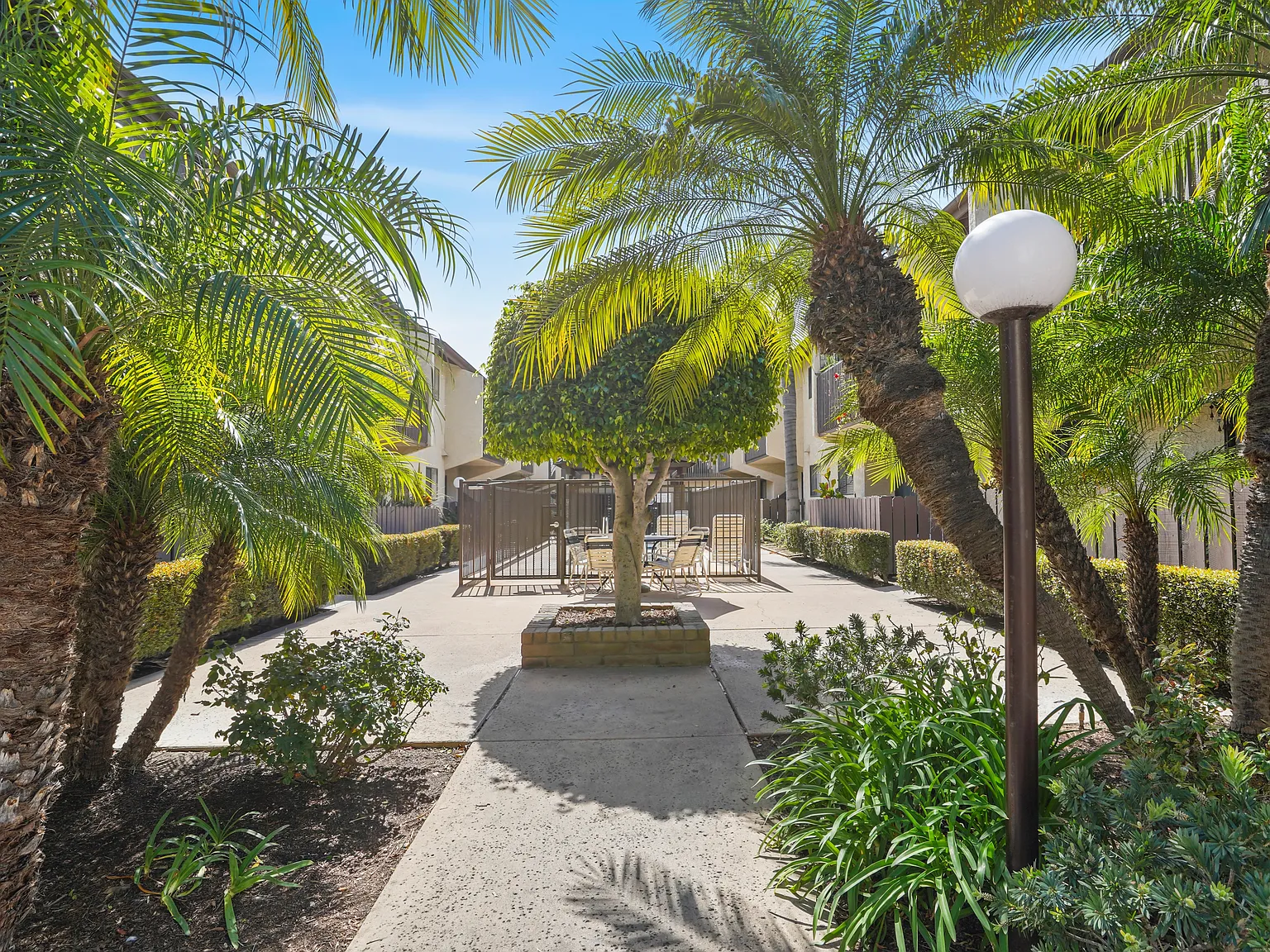 La Palma Terrace — Photo 3