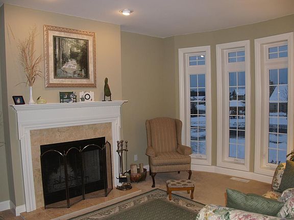 Wood burning fireplace