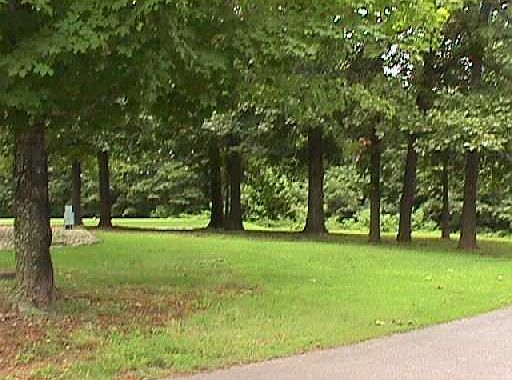 3rd image of 65 Fairway Dr