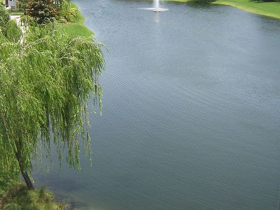 View from Balcony