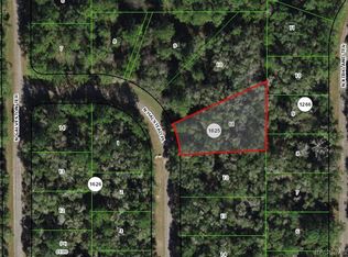 9379 N Halstead Loop, Citrus Springs, FL 34434